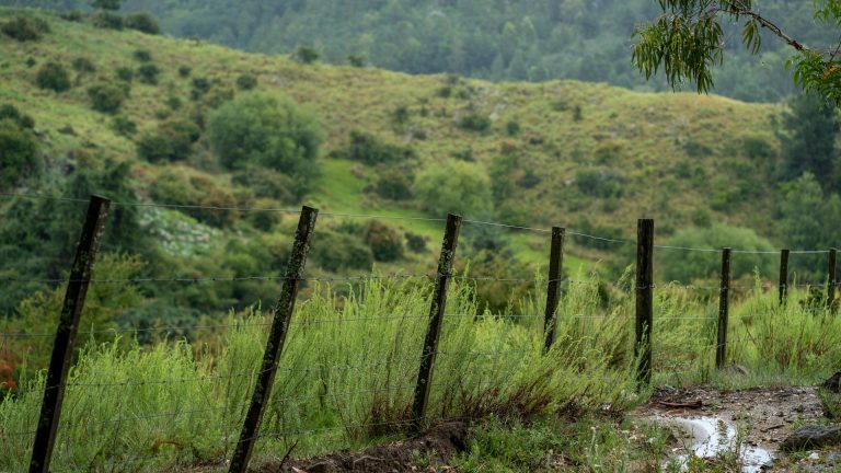 Comment faire une clôture sur un terrain en pente ? Méthodes et conseils