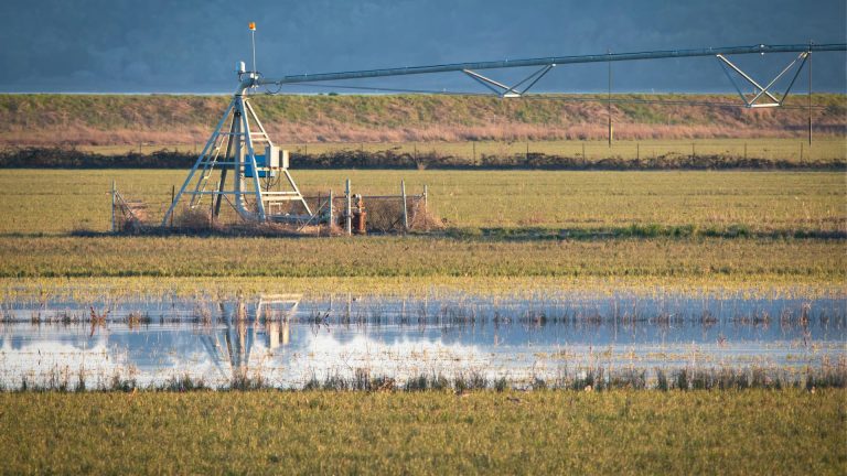 Comment savoir si un terrain est inondable ? démarches et outils