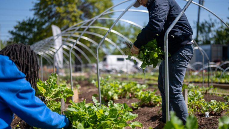Entretenir un jardin qui ne vous appartient pas : droits, risques et démarches