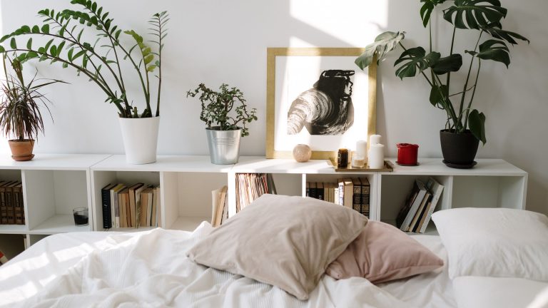 Comment humidifier une chambre : 9 astuces simples pour un air sain